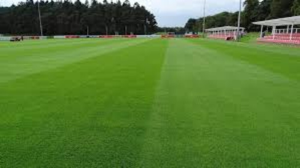 Football Ground Natural Grass