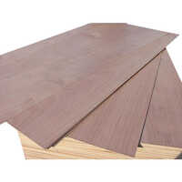 Commercial Plywood
