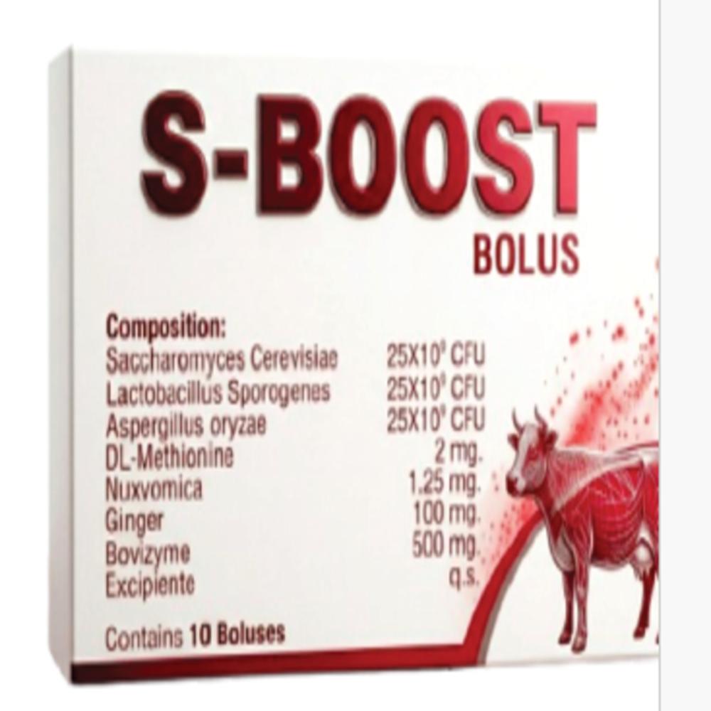 Veterinary PCD