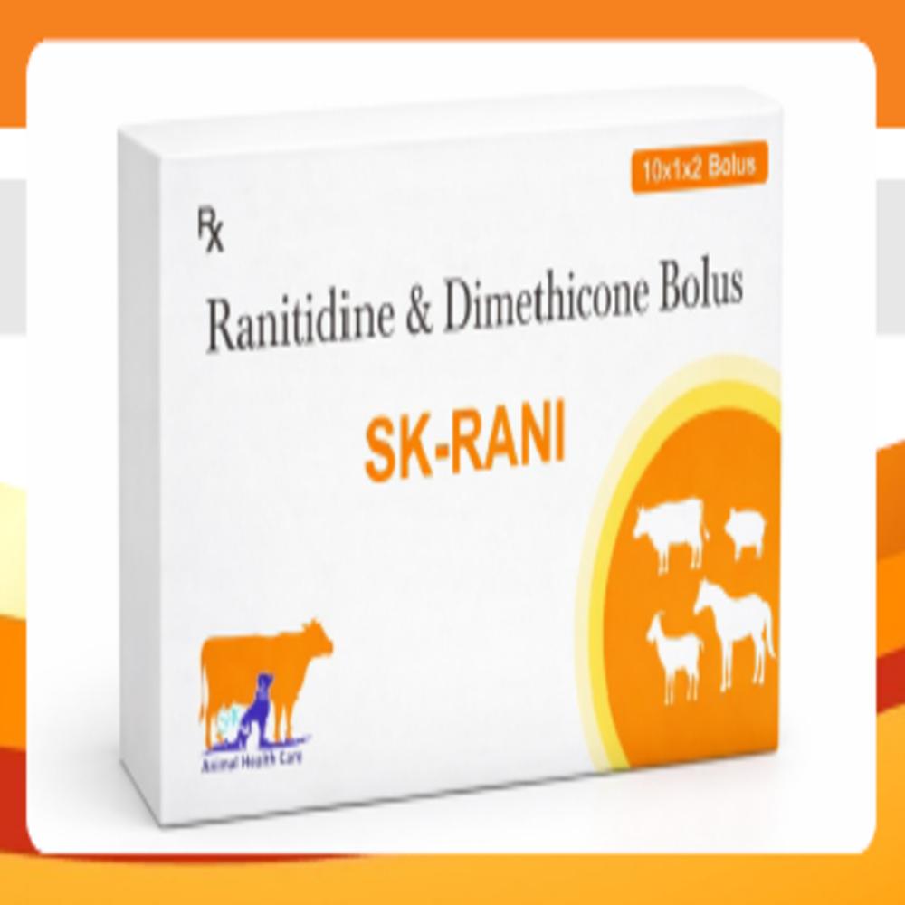 SK RANI