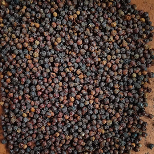 Black Pepper