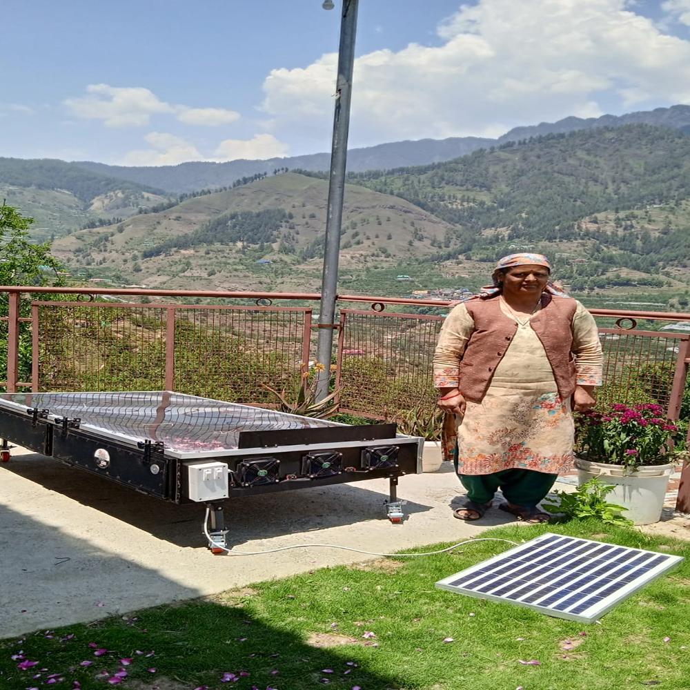 Solar Dryer For Fruits - Application: Industrial