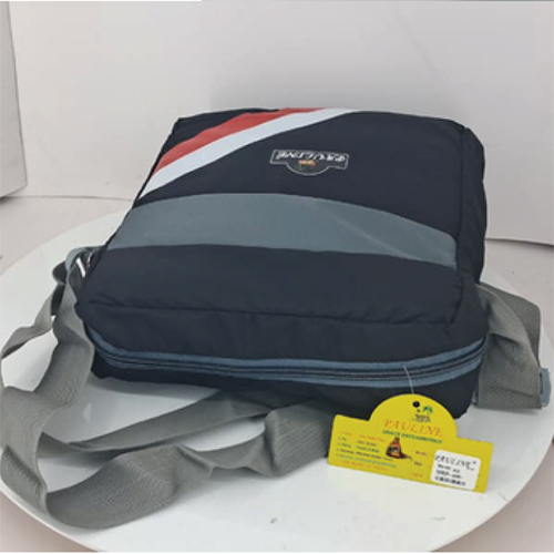 Model No-AD Laptop Bags