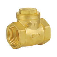 Forged Brass Swing Check Valve - 15-50mm, Nickel Plated, Full Bore | Corrosion Resistant, Bsp Threads, Manual Operation