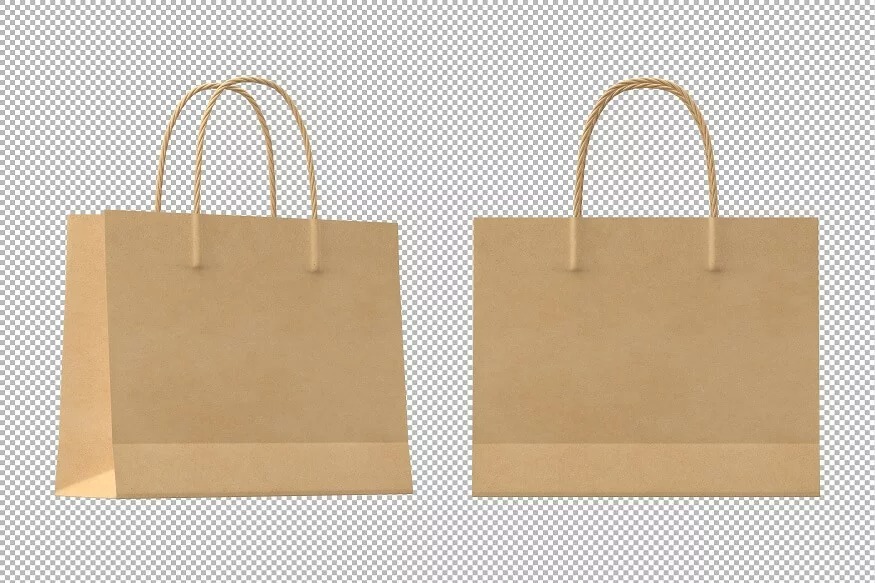 Brown Paper Carry Bag