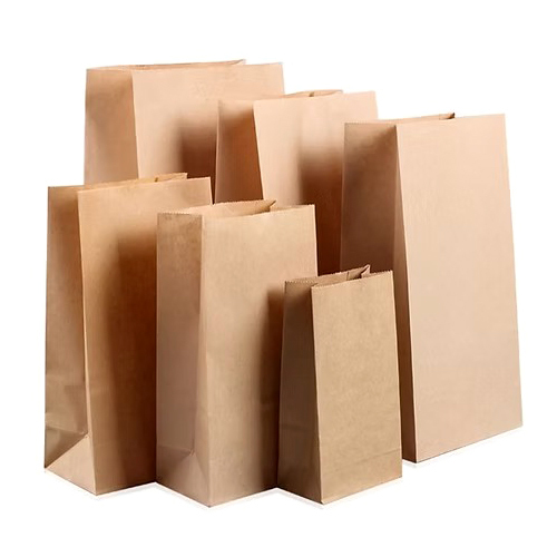 Paper Carry Bag