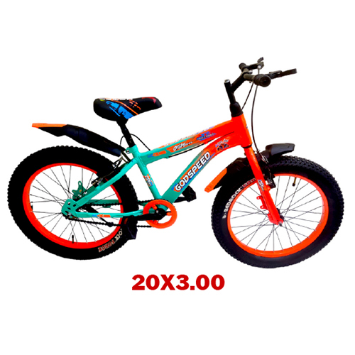 20x3.00 Godspeed VB Kids Bicycle