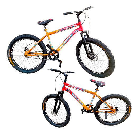 Ladies And Mens Cycle