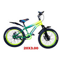 20x3.00 God speed DDS Bicycles