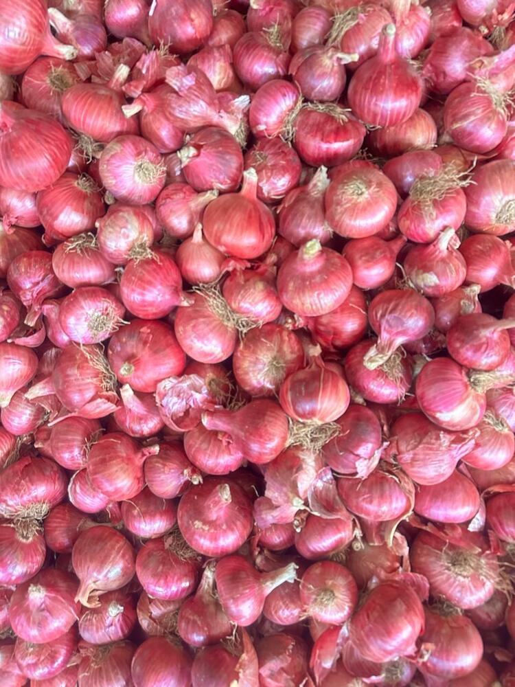 Pink Onion