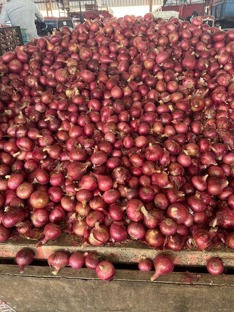 Red Onion