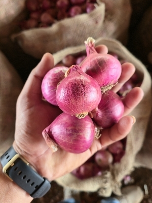 Red Onion