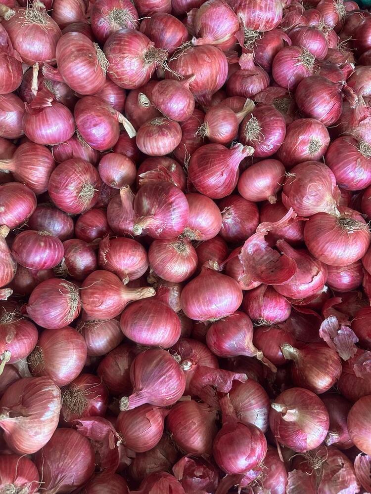 Red Onion