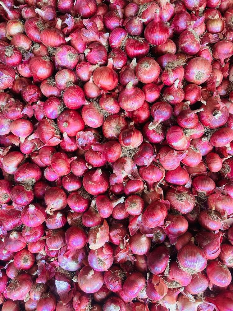 Red Onion
