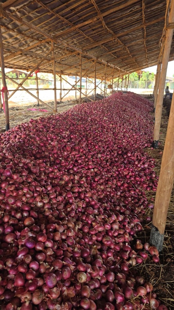 Red Onion