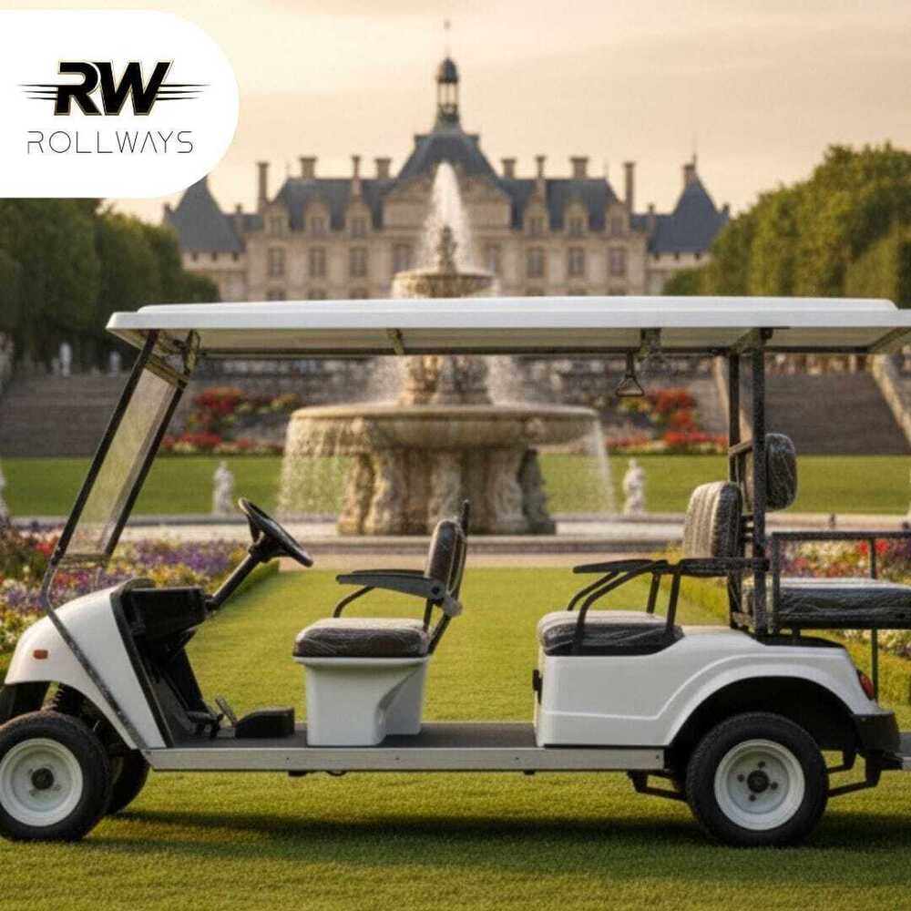 6 Seater Electric golf cart with portable cargo