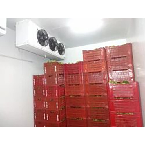 Automatic Banana Ripening Chamber