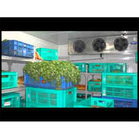 2 Tr Cold Rooms Cabinets