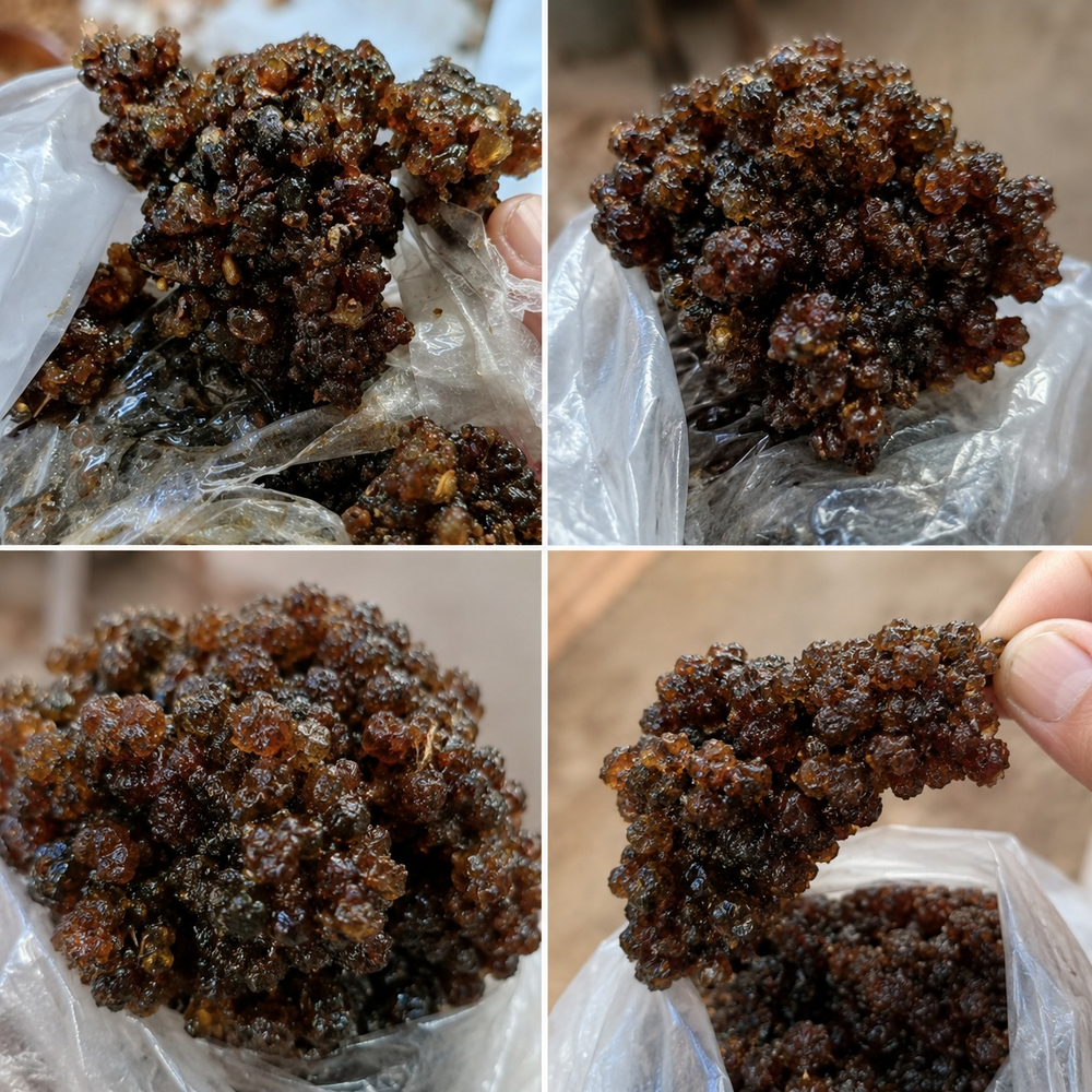 Pakistani Guggul Gum