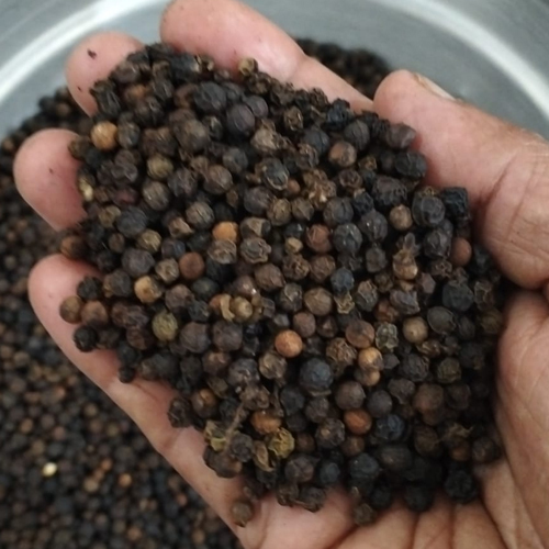 11.5 MM Black Pepper