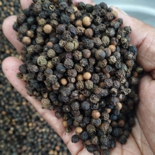 Black Pepper