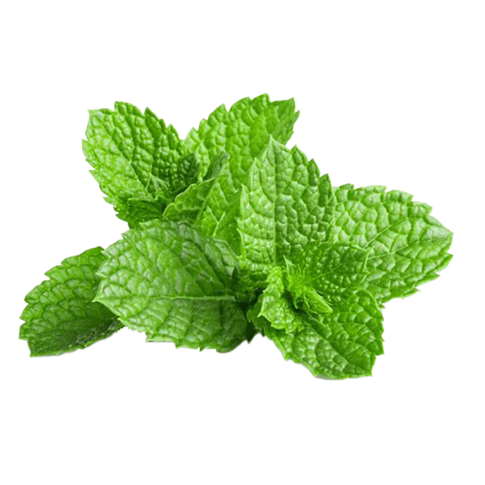 Mint Leaves - Color: As Per Image