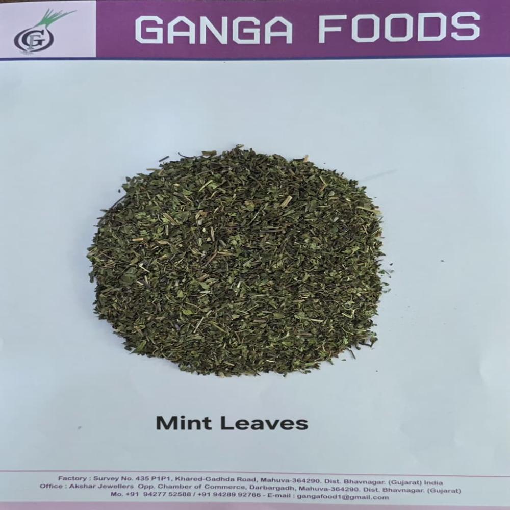 Mint Leaves - Color: As Per Image