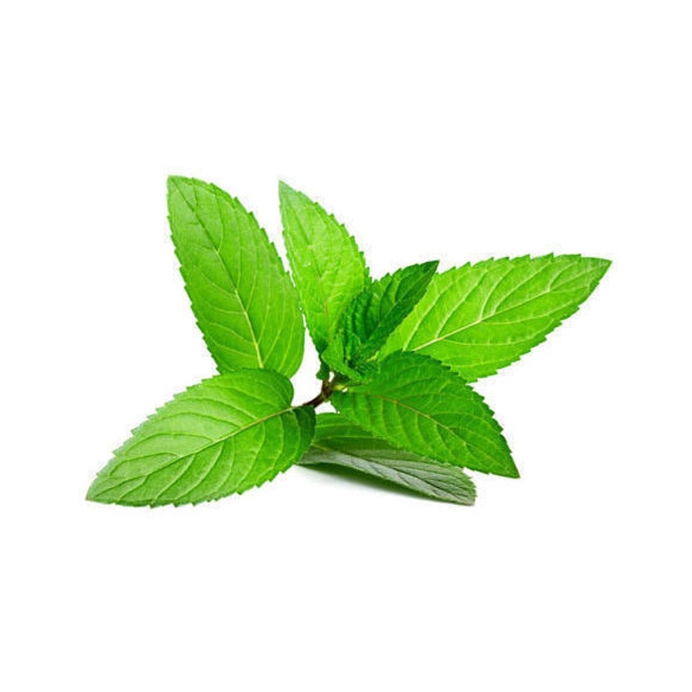 Mint leaves