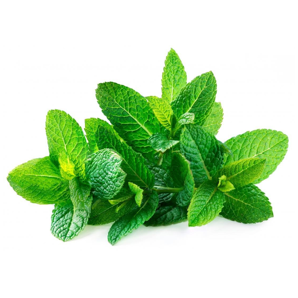Mint leaves