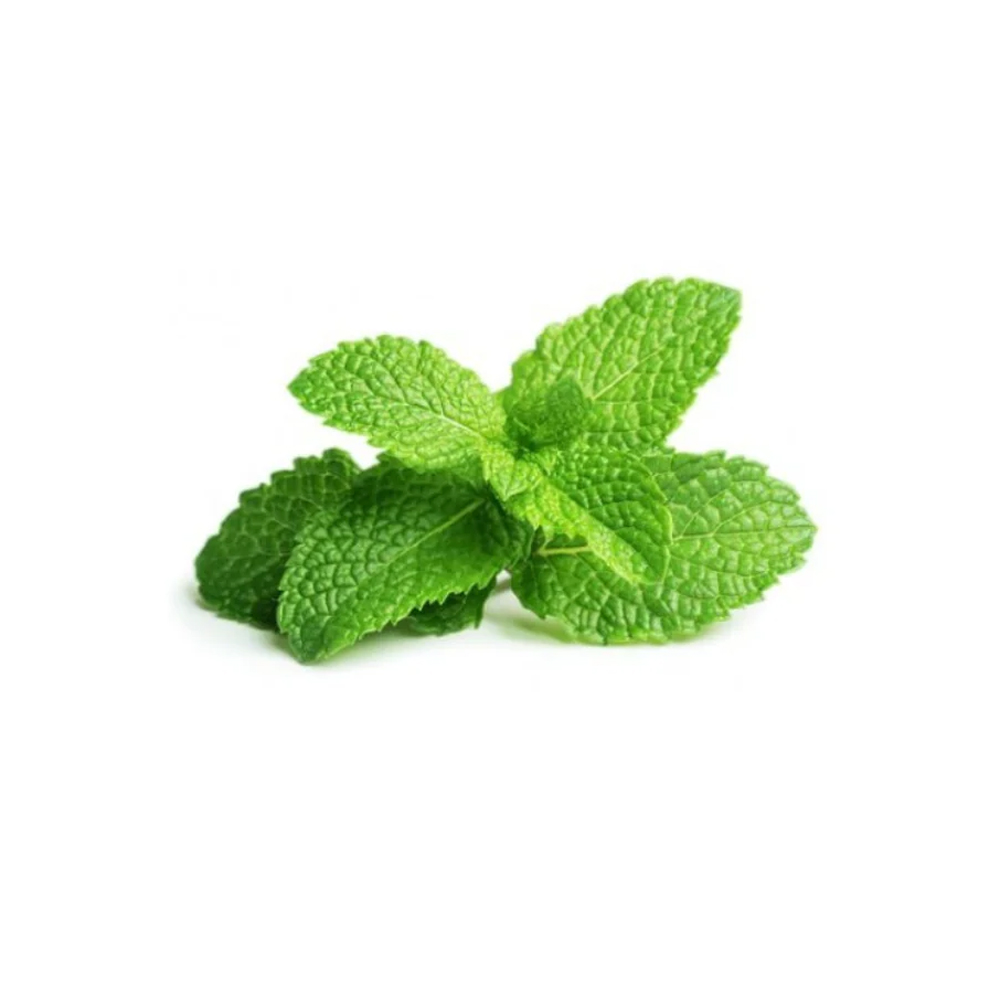 Mint leaves