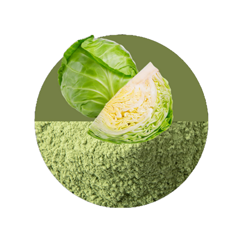 Cabbage Powder