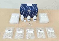 Qiagen QIAamp Viral RNA Mini Kit (250)