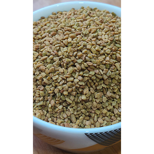 Fenugreek (Methi)