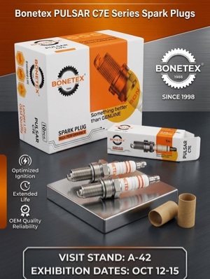 Spark plug pulsar
