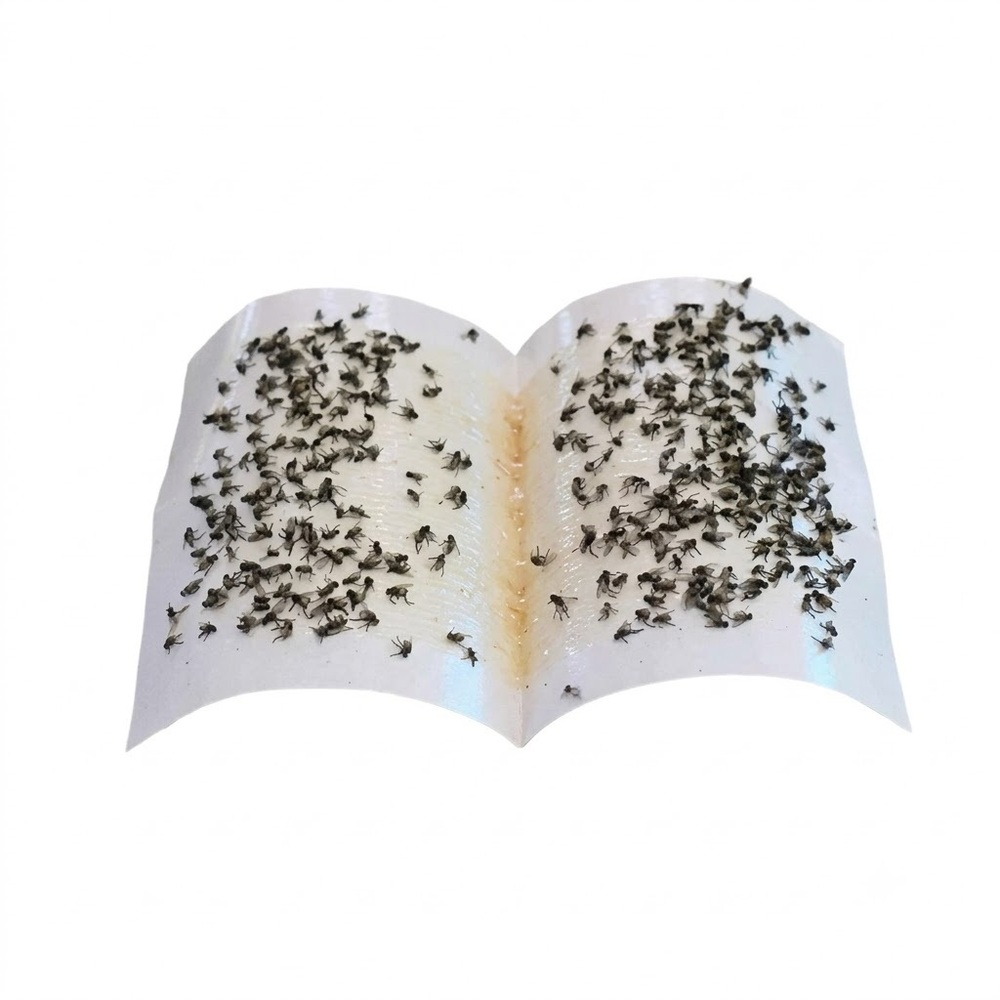 House Fly Catcher Pack Of 5 - Coverage Area: Room-Sized