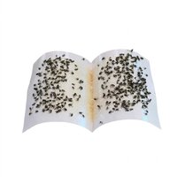 House Fly Catcher Pack Of 5 - Coverage Area: Room-sized