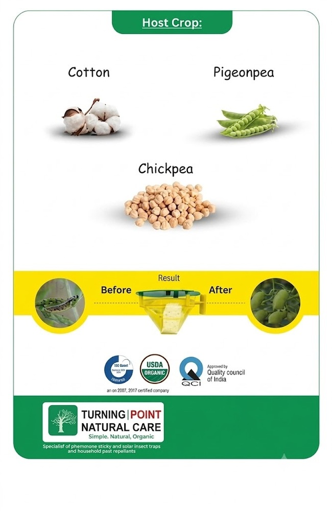 Helicoverpa Armigera Pheromone Lure Heliothis Heli American Bollworm - Cas No: 67537-58-4