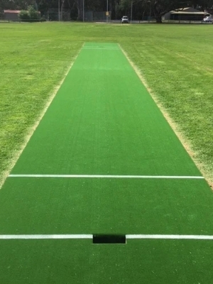 Artificial Grass Turf - Color: Green Beige And Brown