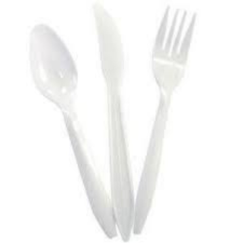 Plastics Large Spoon