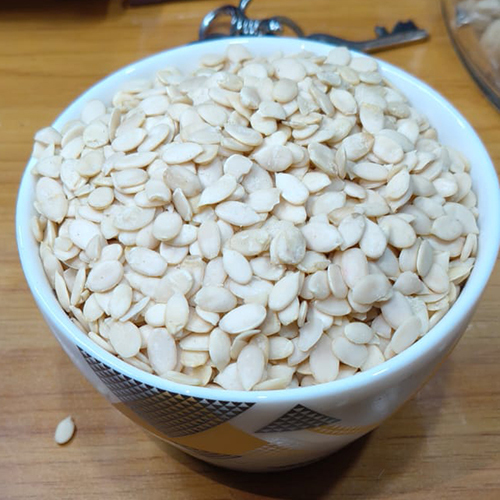 Magaj Seeds