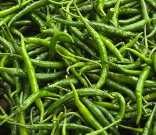 Green Chilli - Preserving Compound: No