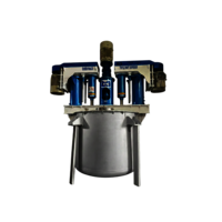 Triple Shaft Disperser Reactor Type