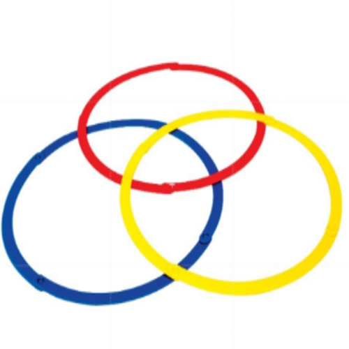 Sorting ring