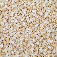 60-70 Count Golden Roasted Split Peanut