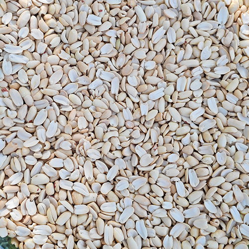 80-90 Count Normal Roasted Split  Peanut