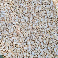 80-90 Count Normal Roasted Split  Peanut