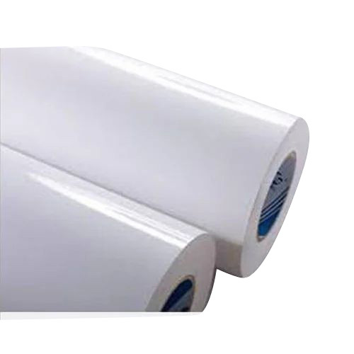 Poly Coated Paper