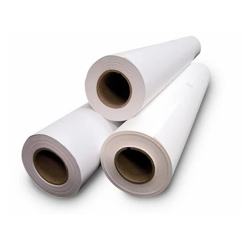 PE Coated Cromo Paper