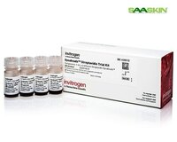 Invitrogen Dynabeads Streptavidin Trial Kit - Noise Level: No