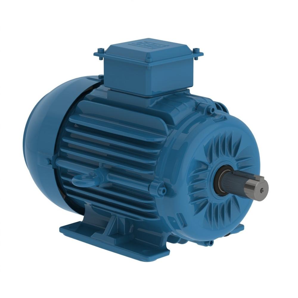Weg Induction Motor